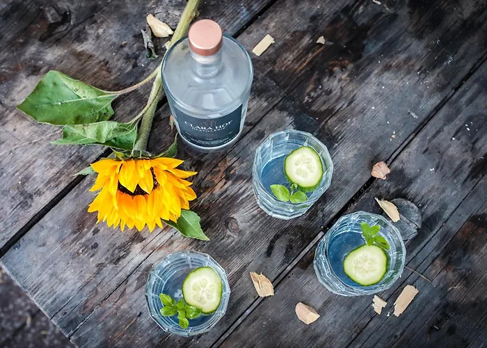 Luxuszelt Weinrote Jurte Fuer Geniesser Babelin