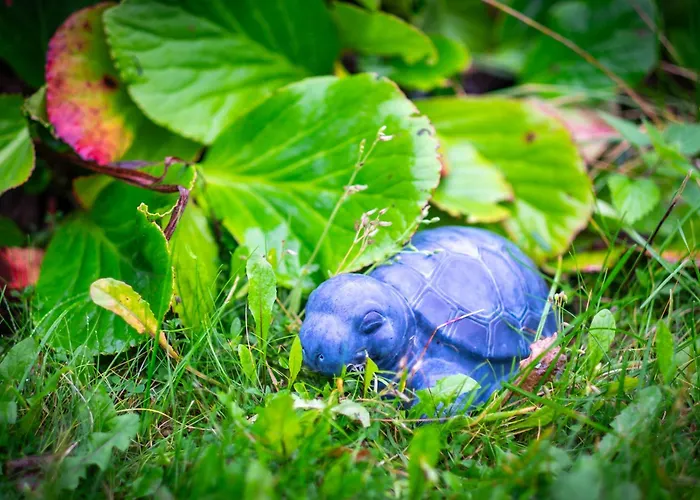 Weinrote Jurte Fuer Geniesser