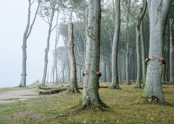 Luxuszelt Weinrote Jurte Fuer Geniesser *